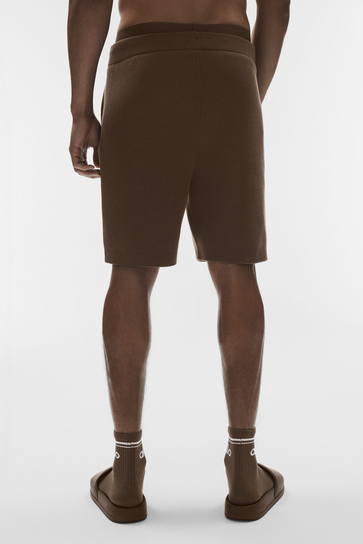 7 Sports Club Sweater Knit Short - Espresso